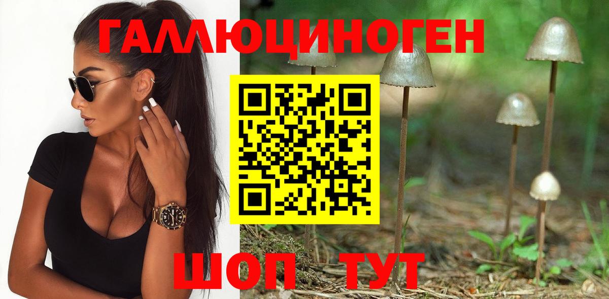 Славгород  Псилоцибиновые грибы Psilocybe  Вход с VPN  Псилоцибиновые грибы MAGIC MUSHROOMS 